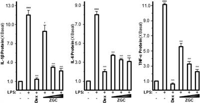 Zhuanggu Guanjie herbal formula mitigates osteoarthritis via the NF-κB transduction mechanism